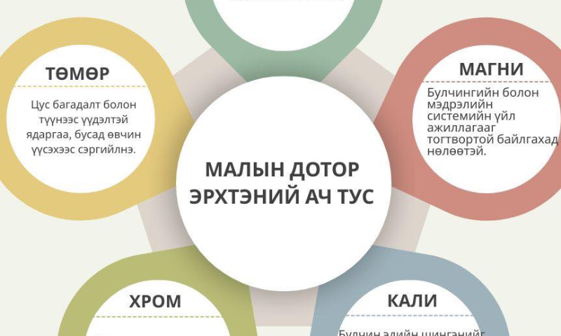 Дотор мах нь эрүүл мэндийг дэмжих үйлчилгээтэй биологийн идэвхит нэгдлүүдийн эх үүсвэр юм. Малын дотор эрхтнүүд нь кальци, магни, кали, төмөр, хром зэрэг эрдсийн элементүүдээр баялаг бөгөөд тэдгээр нь хүний эрүүл мэндэд чухал ач холбогдолтой. 