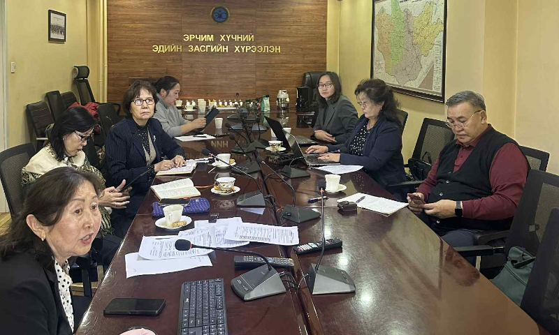 ХИЙН ТООЛУУРЫН СТАНДАРТЫН ТӨСЛИЙГ ХЭЛЭЛЦЭН ДЭМЖЛЭЭ 