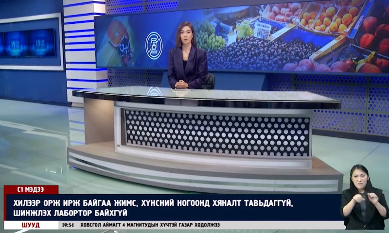 ПЕСТИЦИД АГУУЛСАН ЖИМС, ХҮНСНИЙ НОГОО ХОРТ ХАВДАР ҮҮСГЭХ ЭРСДЭЛТЭЙ
